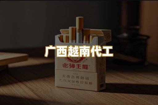 广西越南代工